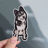 Husky - Sticker
