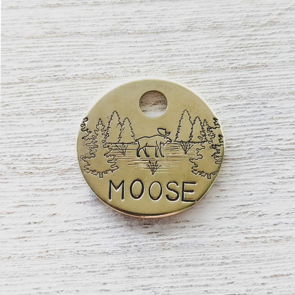Moose Lake 1