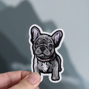French Bulldog - Sticker